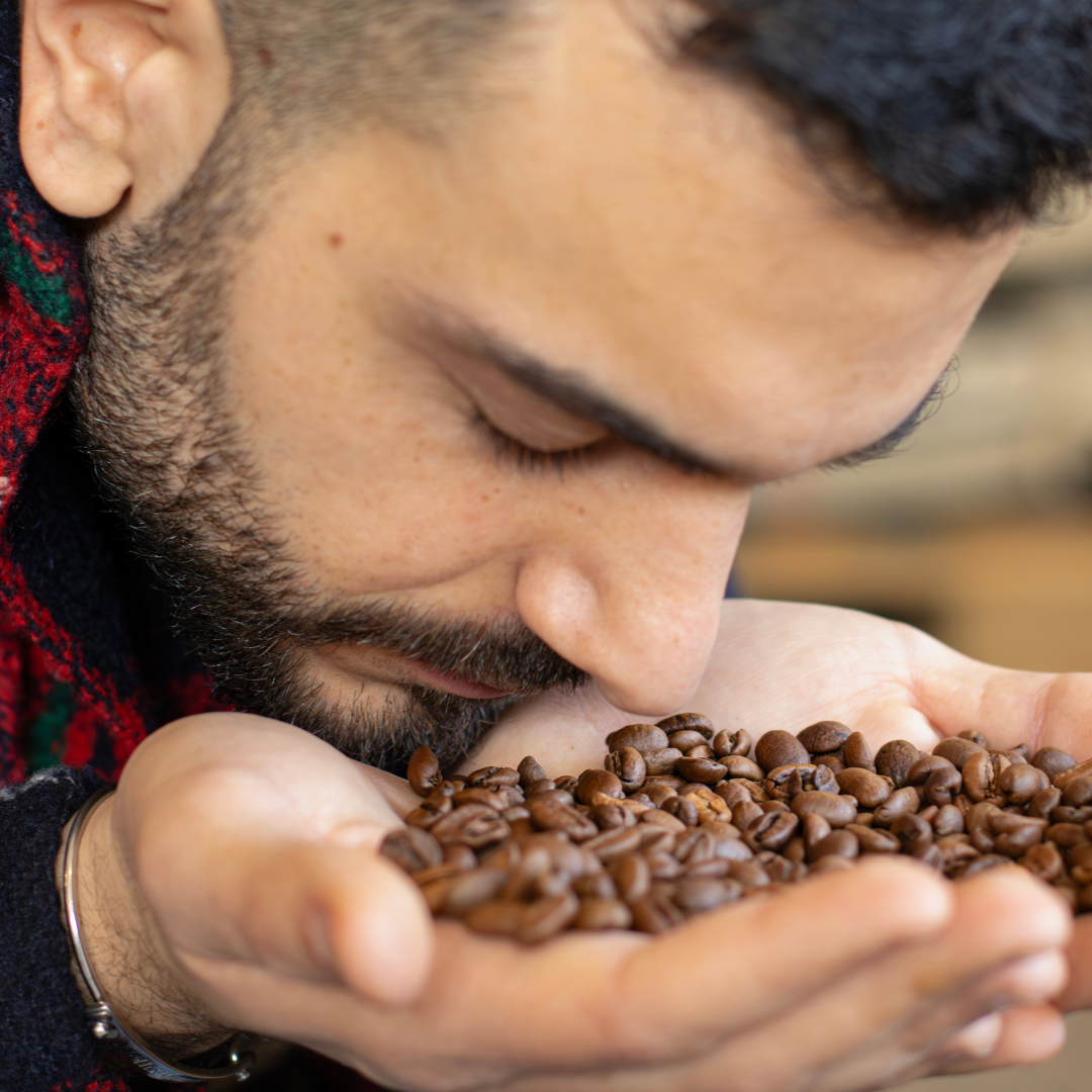 Barista Full Immersion + Apri il tuo coffee shop